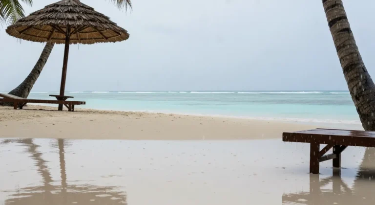 Zanzibar w porze deszczowej - czy warto planować wakacje poza szczytem sezonu?